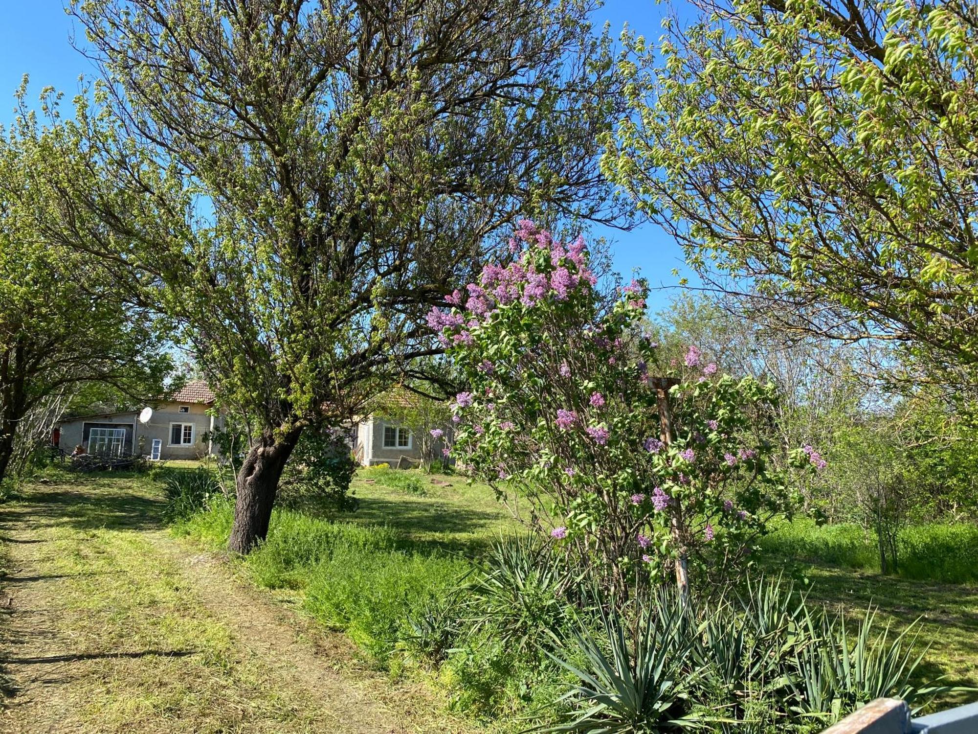 Ferienhaus Primorska Sunshine In Strandnaehe Шабла Екстер'єр фото